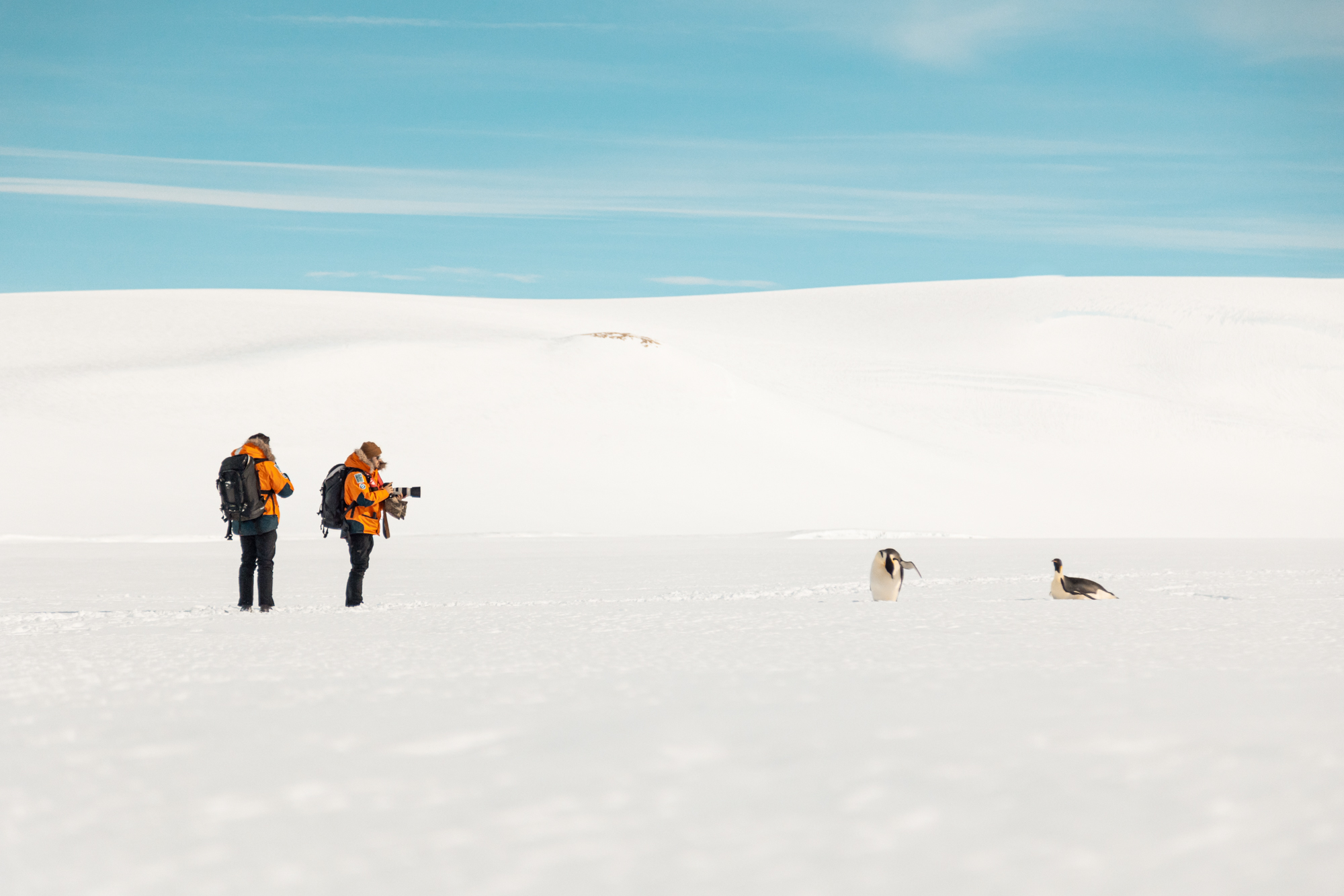 Antarctique JC Pieri