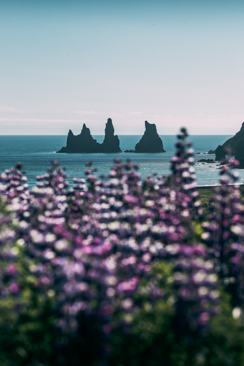 Workshop Photo Islande