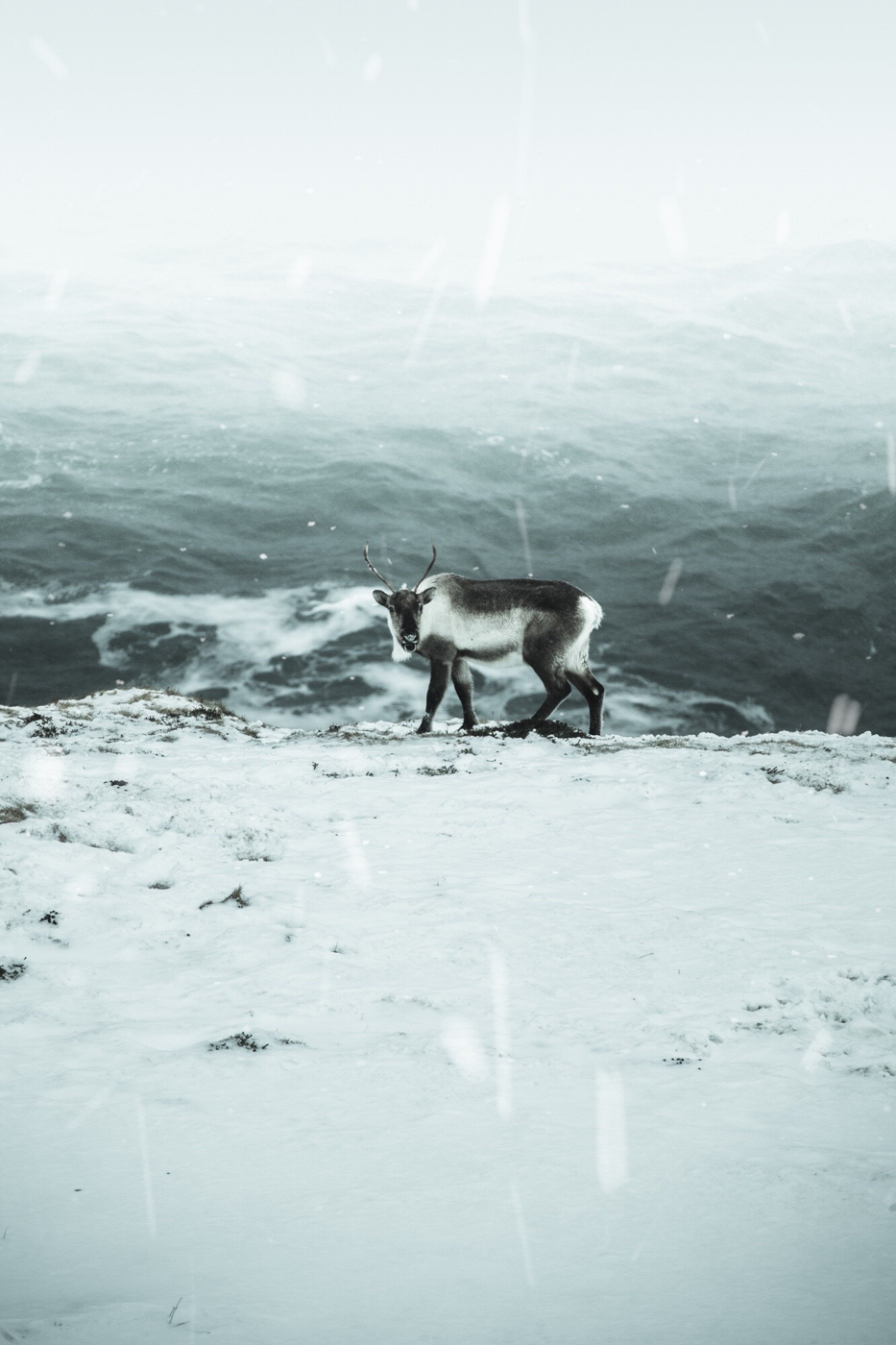 Workshop Photo Islande