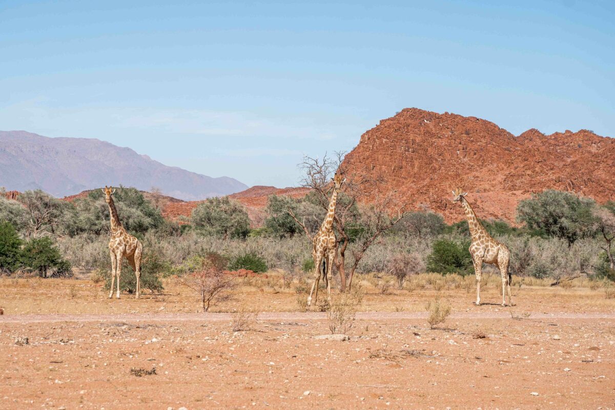 workshop photo namibie