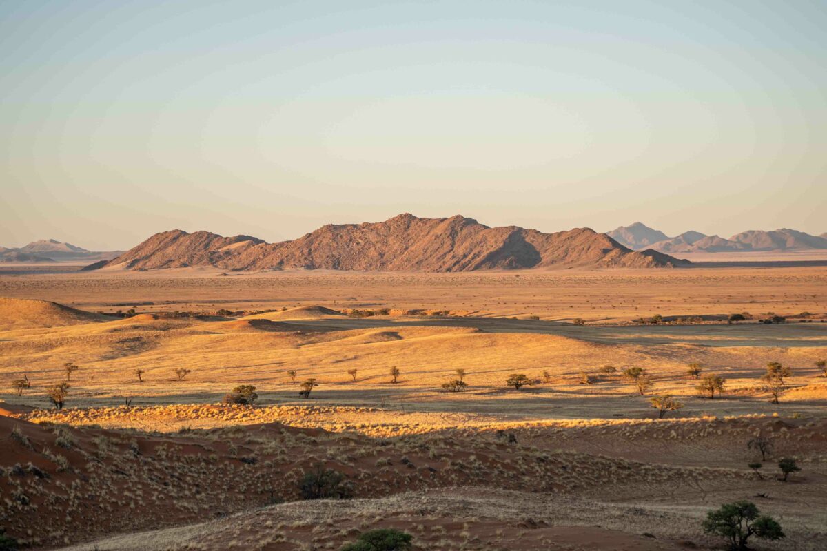workshop photo namibie