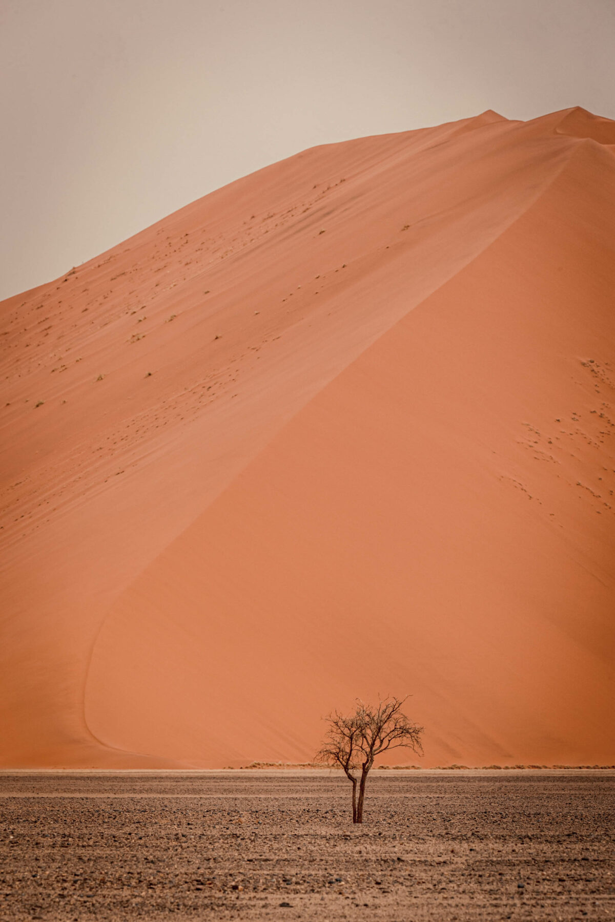 Namibie JC Pieri Formation