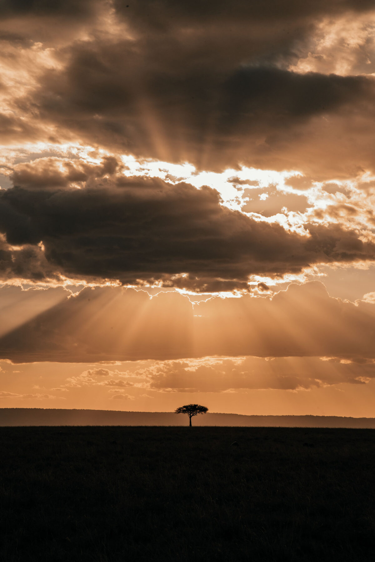 Kenya lever de soleil JC Pieri Formation