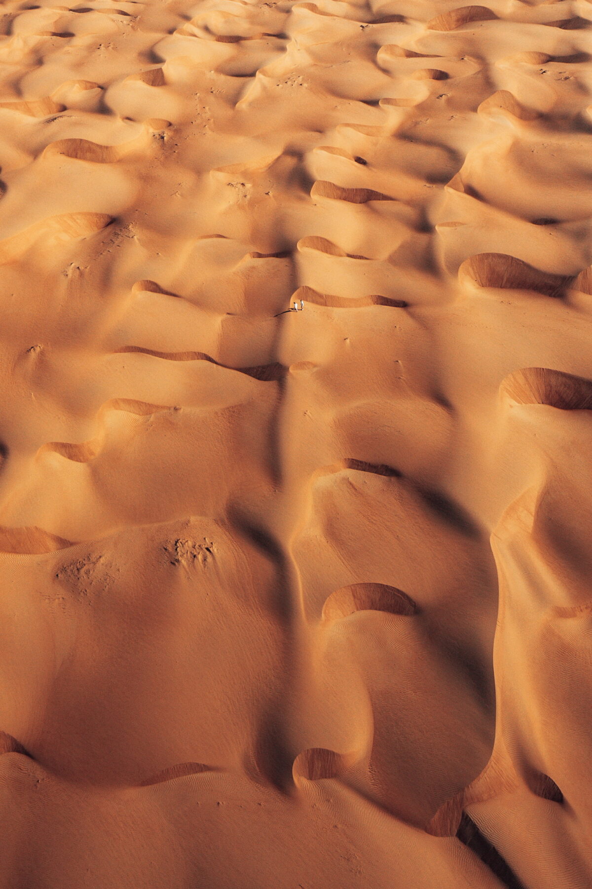 Dunes Oman JC Pieri Forrmation