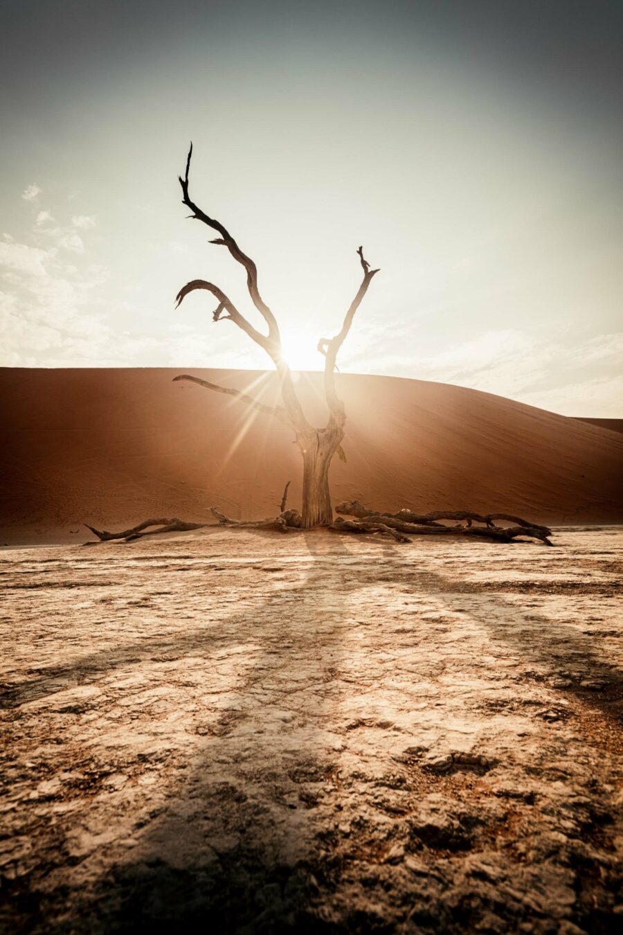 Namibie JC Pieri Formation Deadvlei