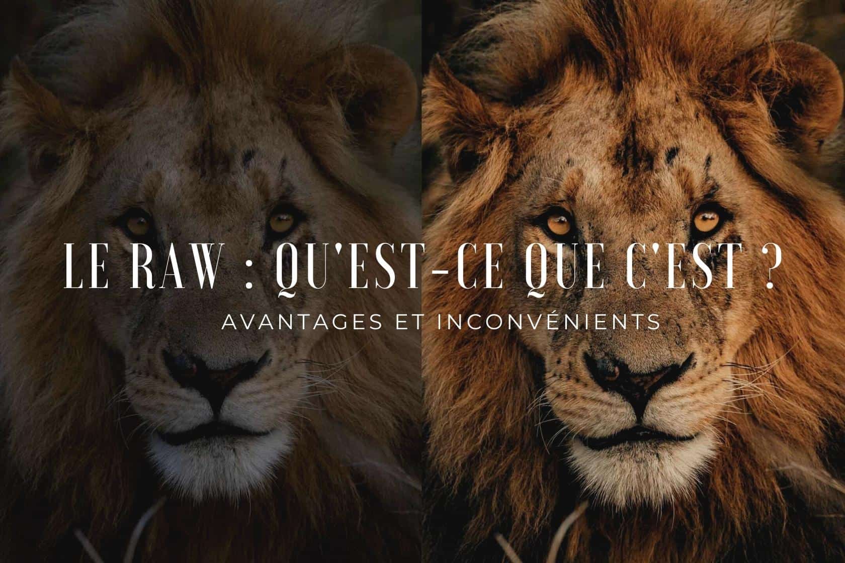 Le Raw : qu’est-ce que c’est ?