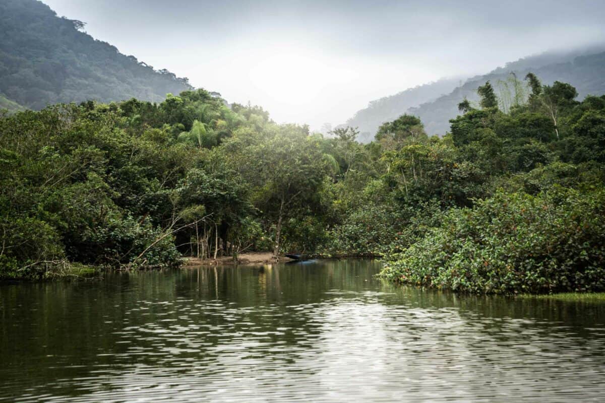 workshop photo amazonie
