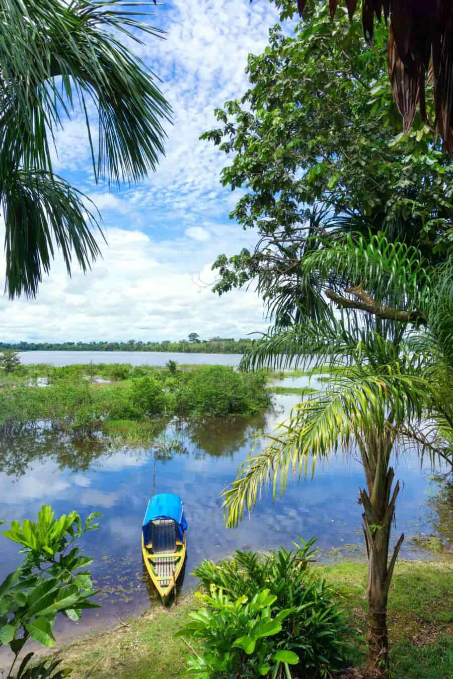 workshop photo amazonie