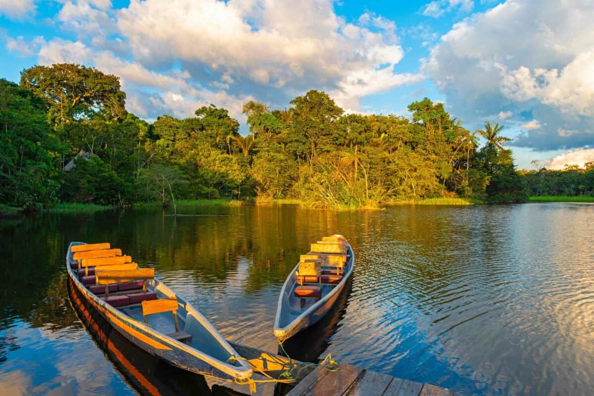 workshop photo Amazonie