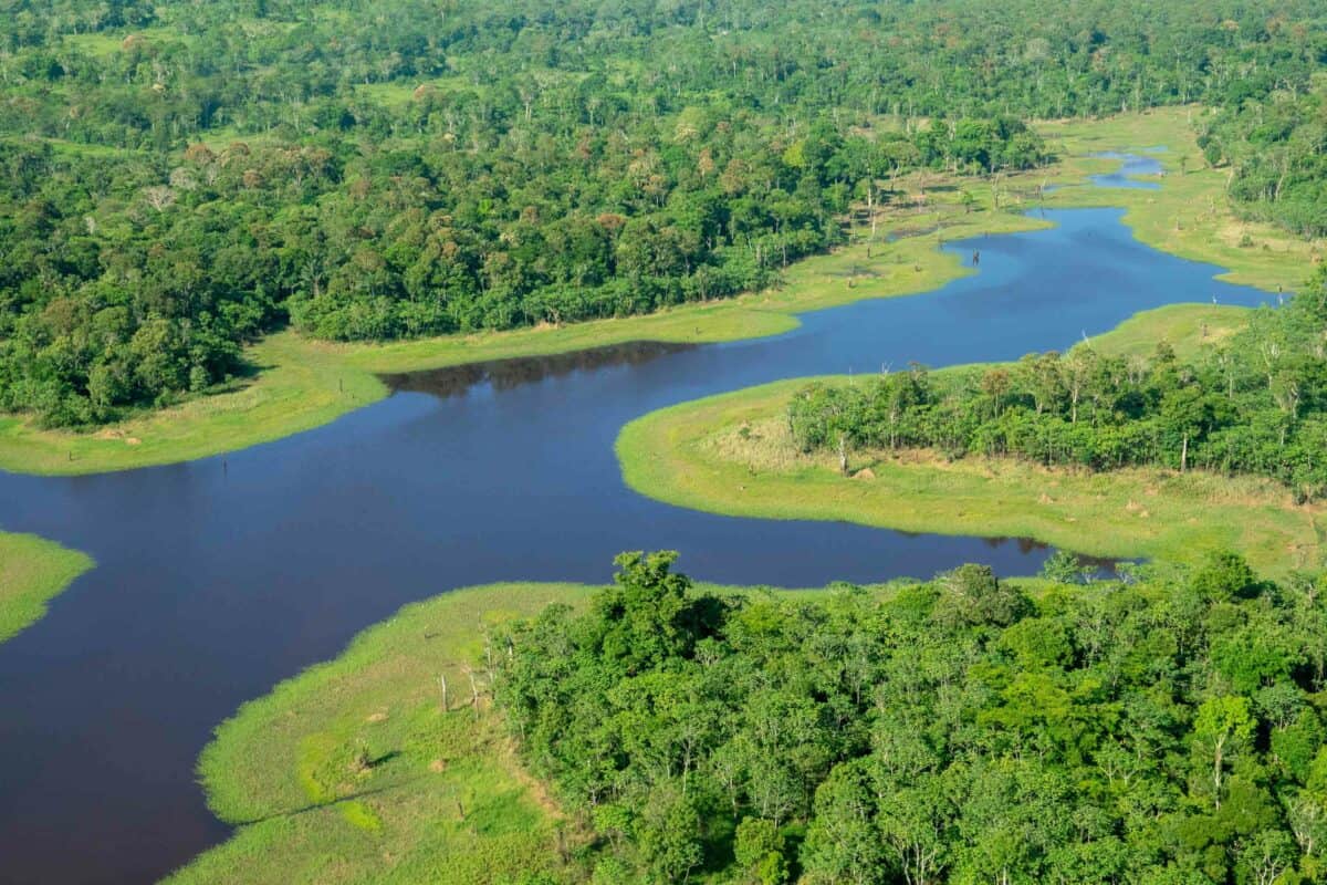 workshop photo Amazonie