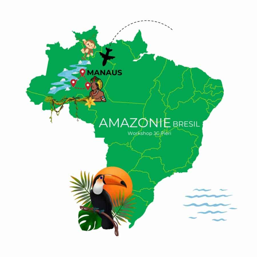 workshop photo amazonie