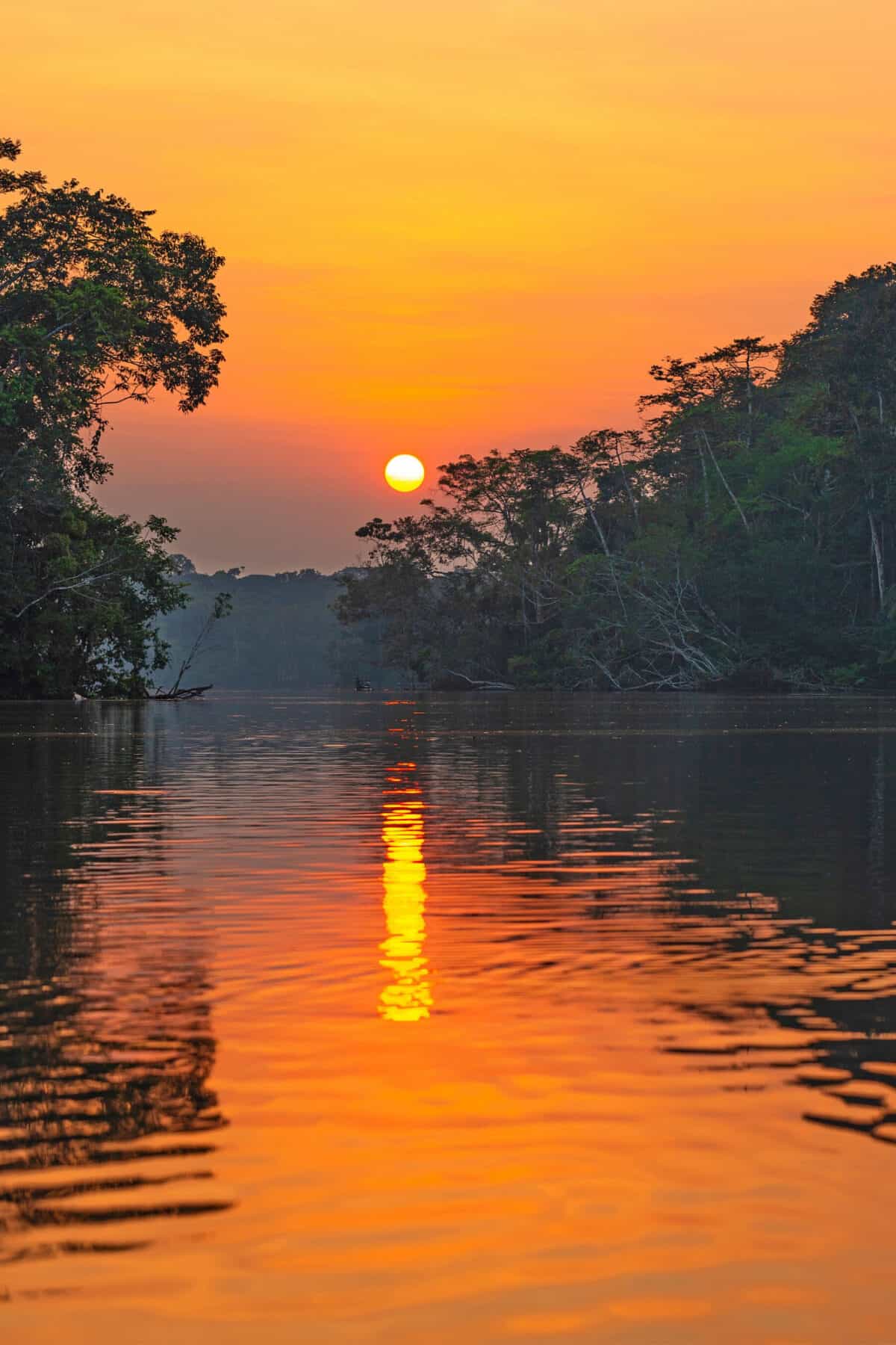 workshop photo amazonie