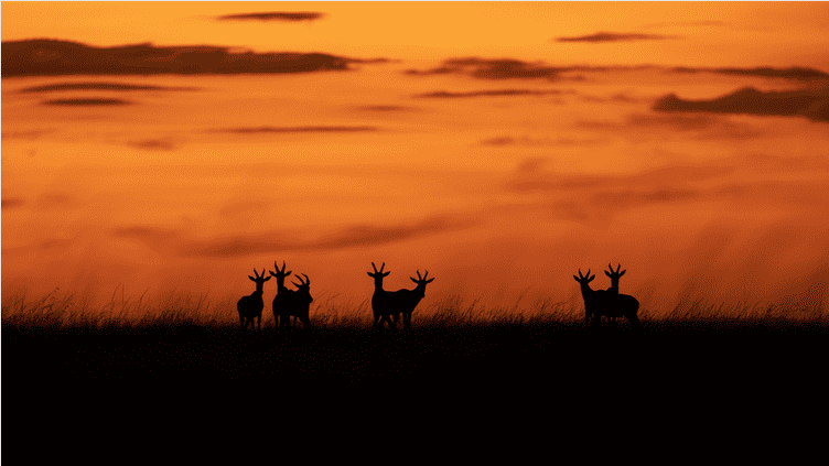 coucher de soleil au Kenya