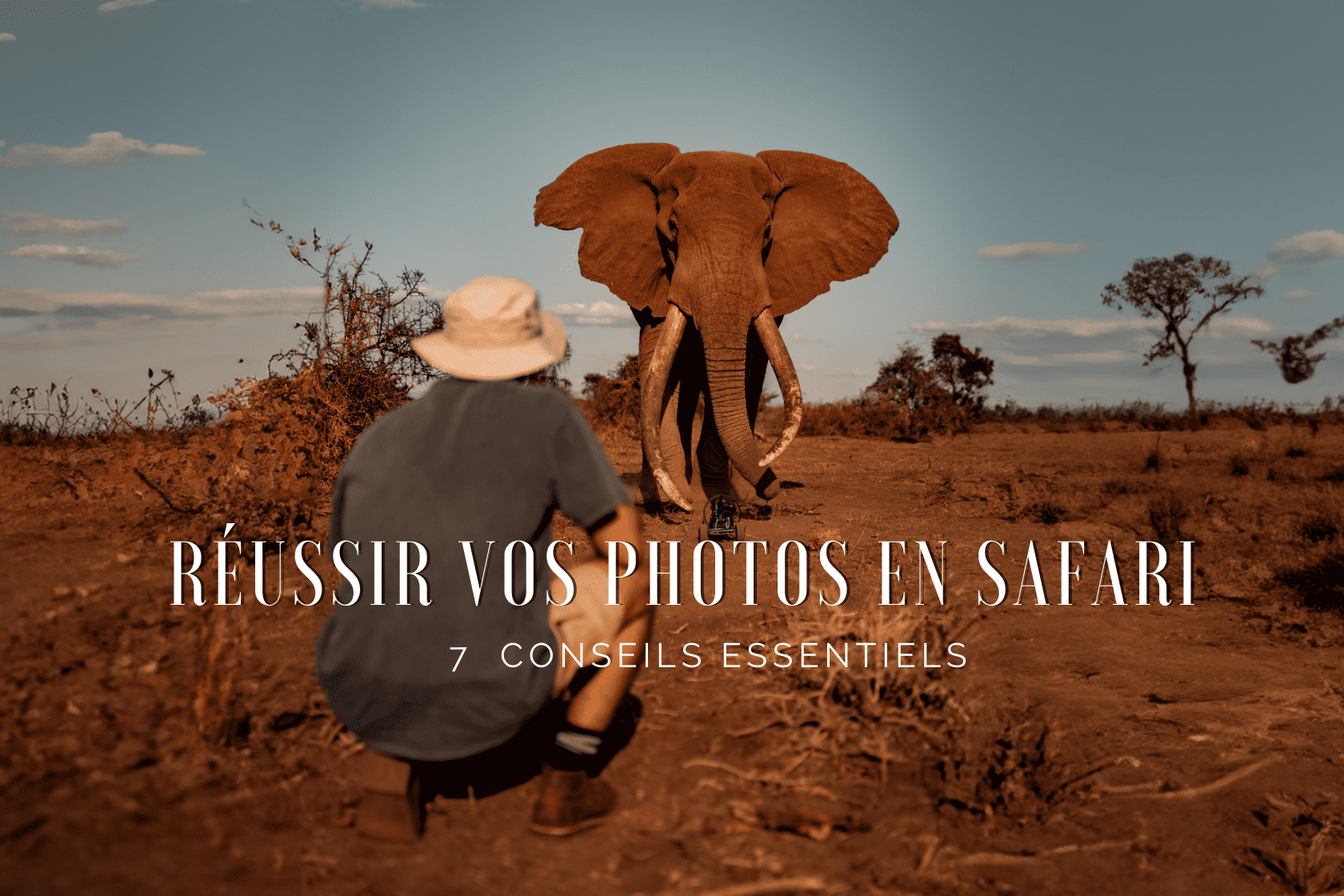 Nos conseils pour réussir vos photos en safari