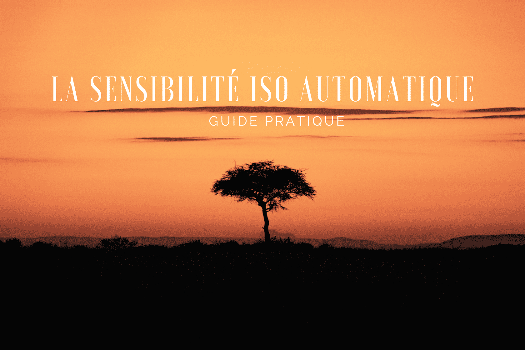 La sensibilité ISO en automatique : guide pratique et astuces