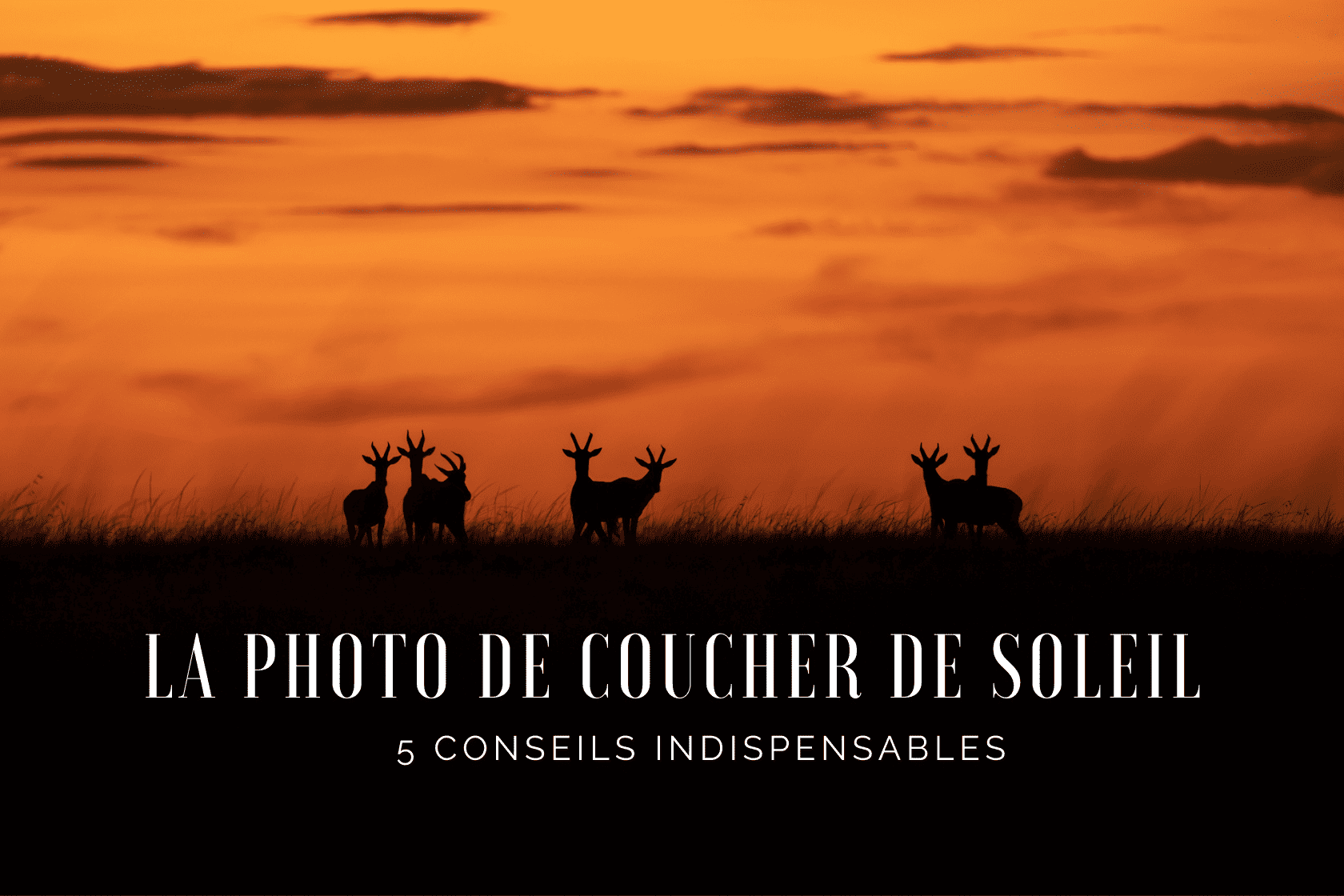5 conseils pour réussir vos photos de coucher de soleil