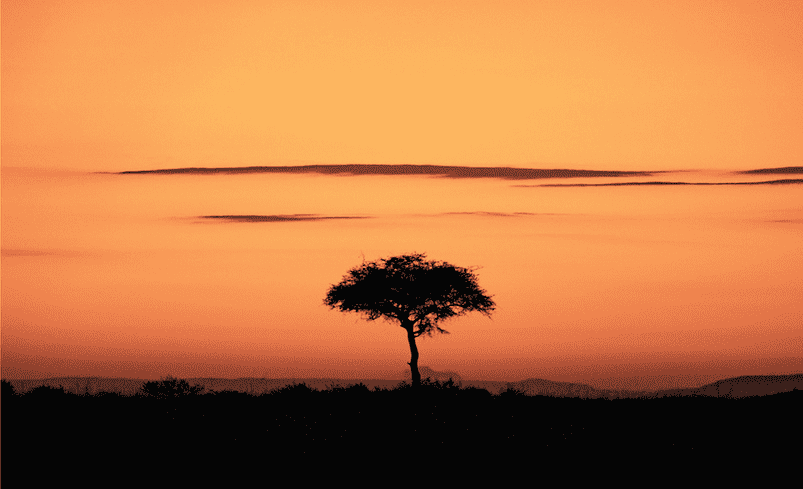 coucher de soleil savane africaine