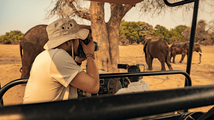 photo de safari et éléphants