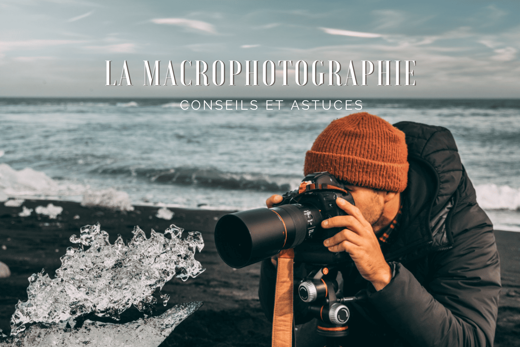 Macrophotographie : conseils et astuces pour réussir vos clichés