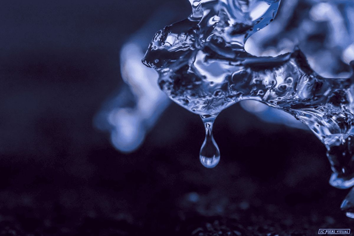 macrophotographie islande