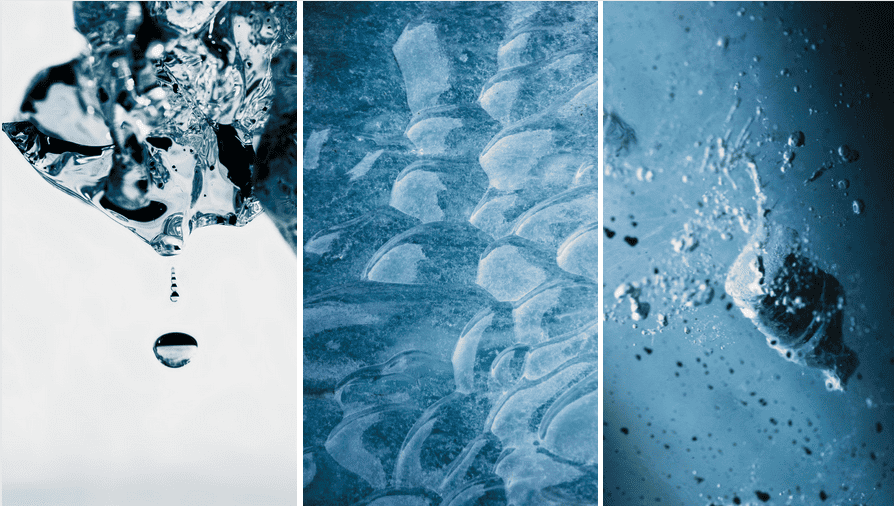 macrophotographie en Islande