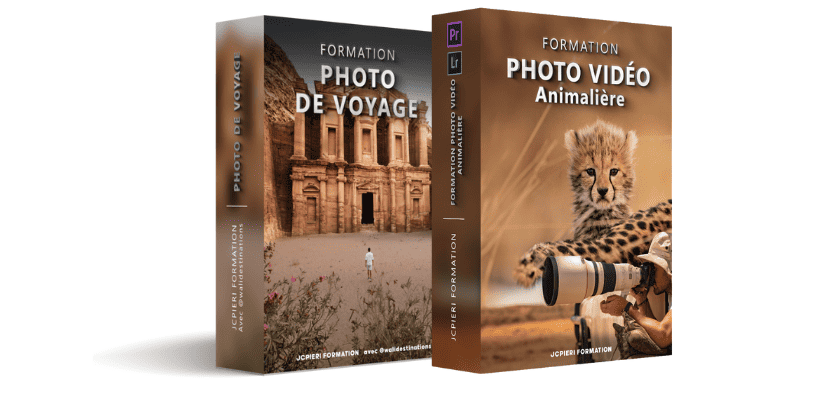 Pack photo de voyage et animalier