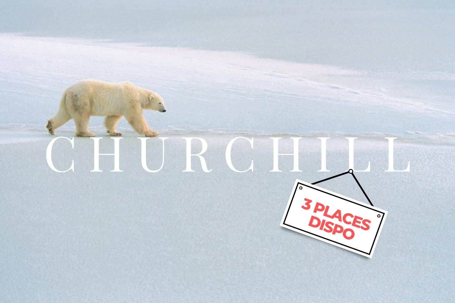 workshop churchill