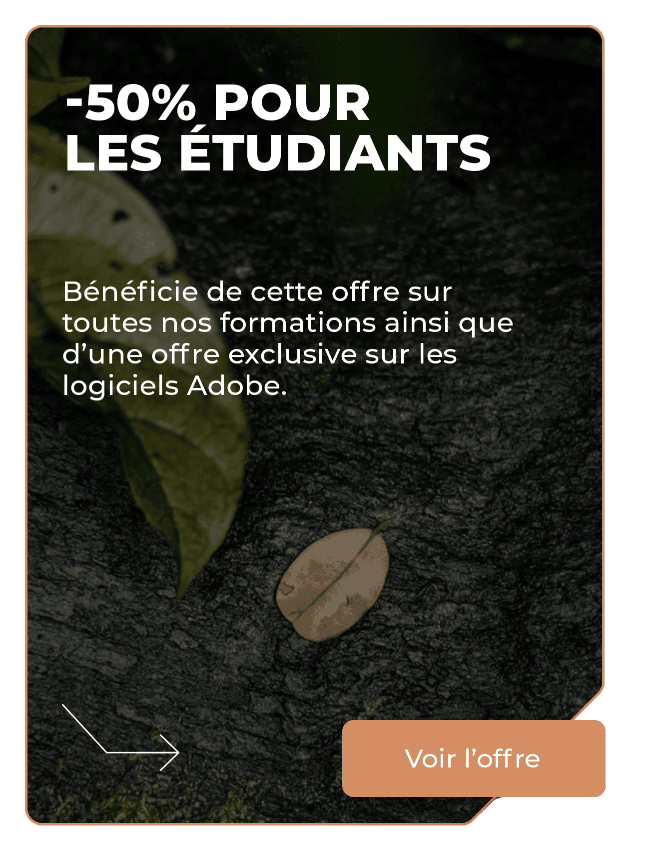 Formations étudiants