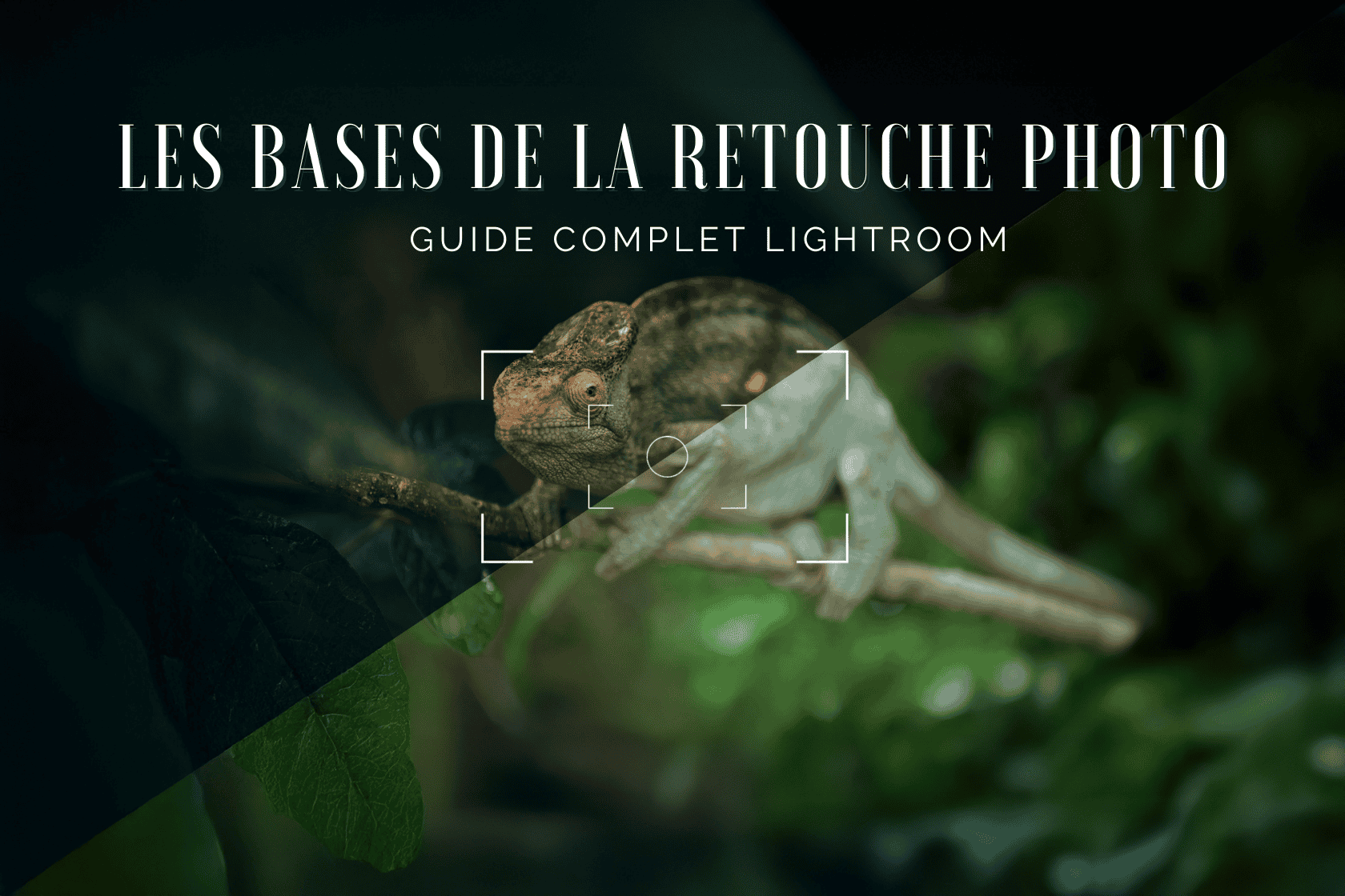 Maîtrisez les bases de la retouche photo avec Lightroom