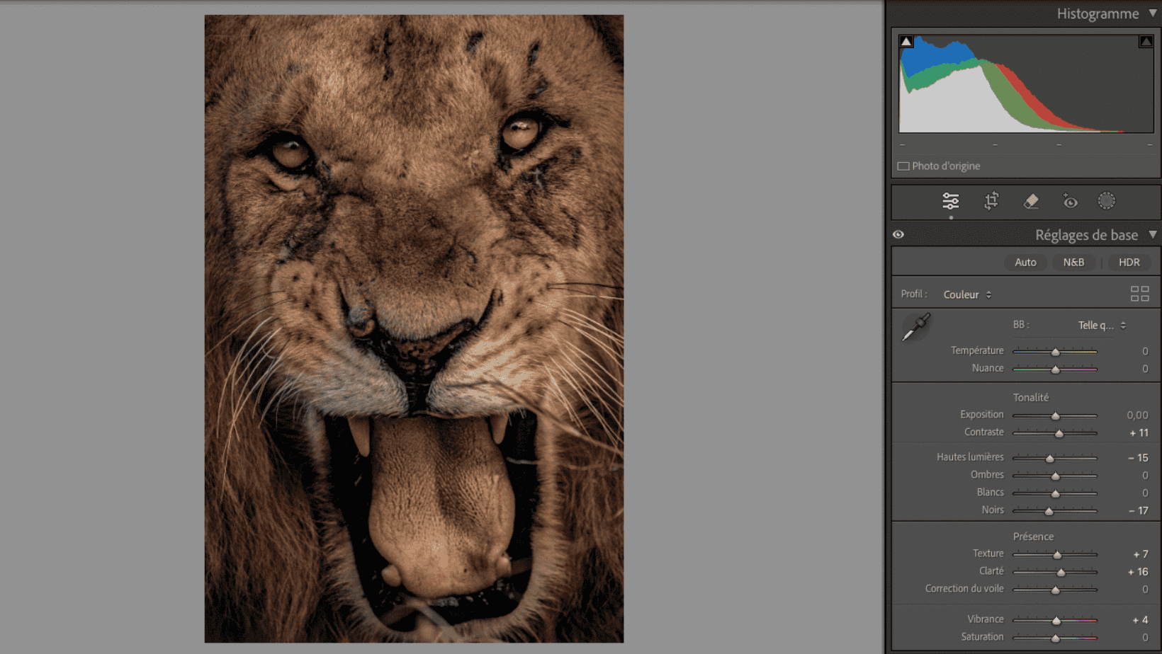 retouche photo