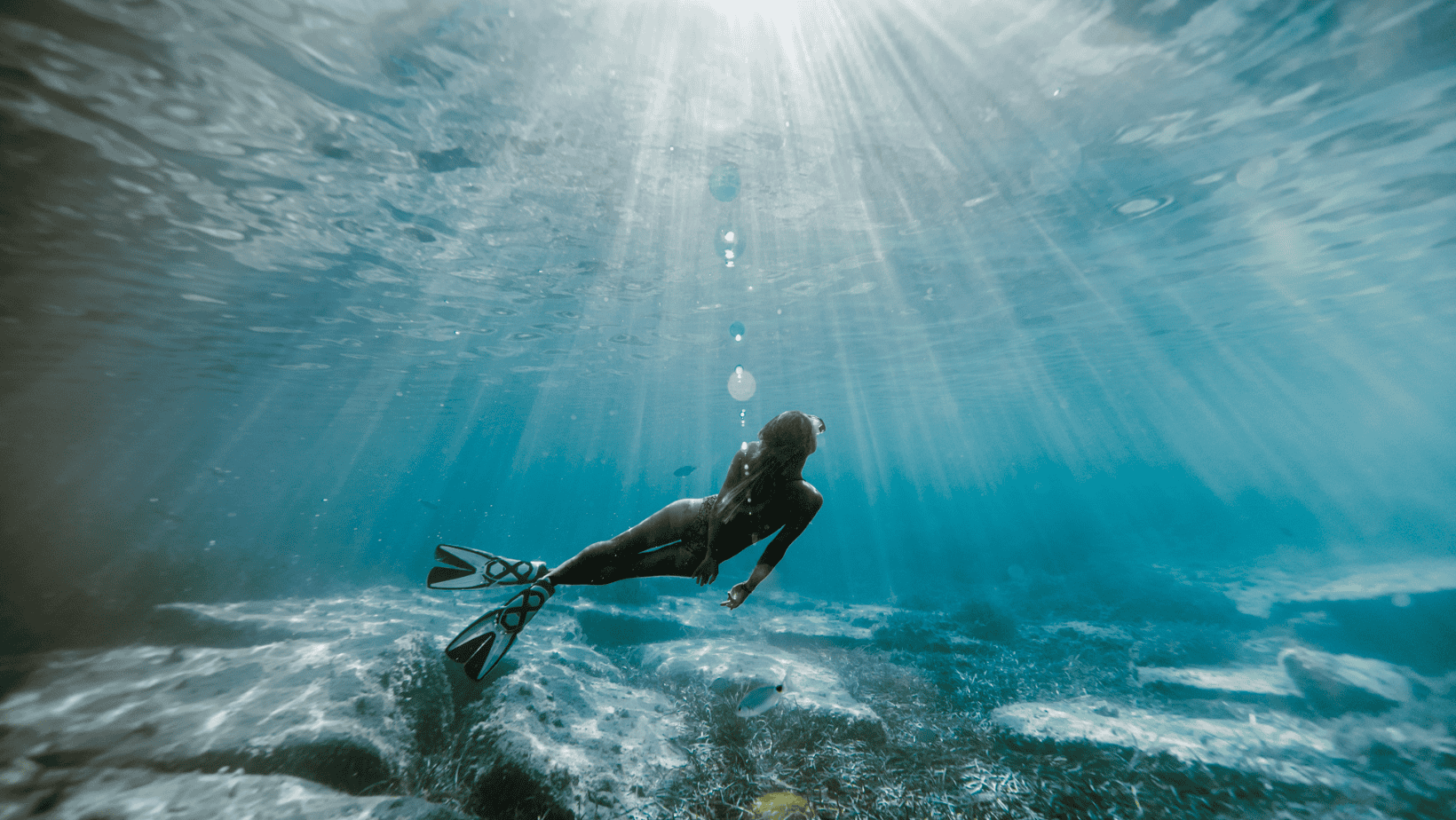 photo sous-marine