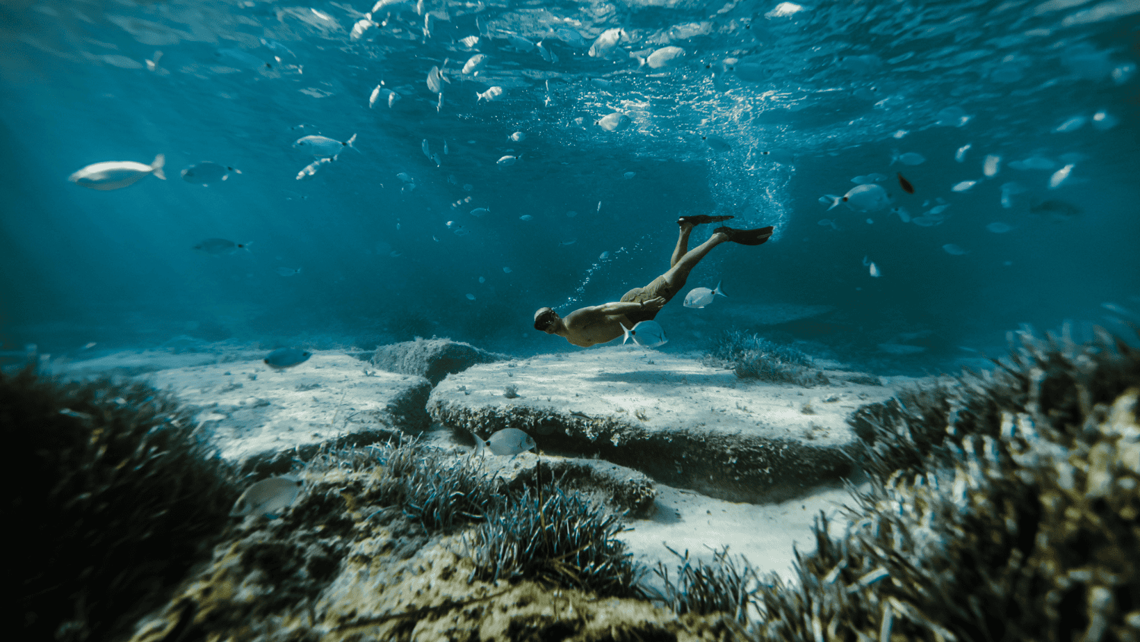 photo sous-marine