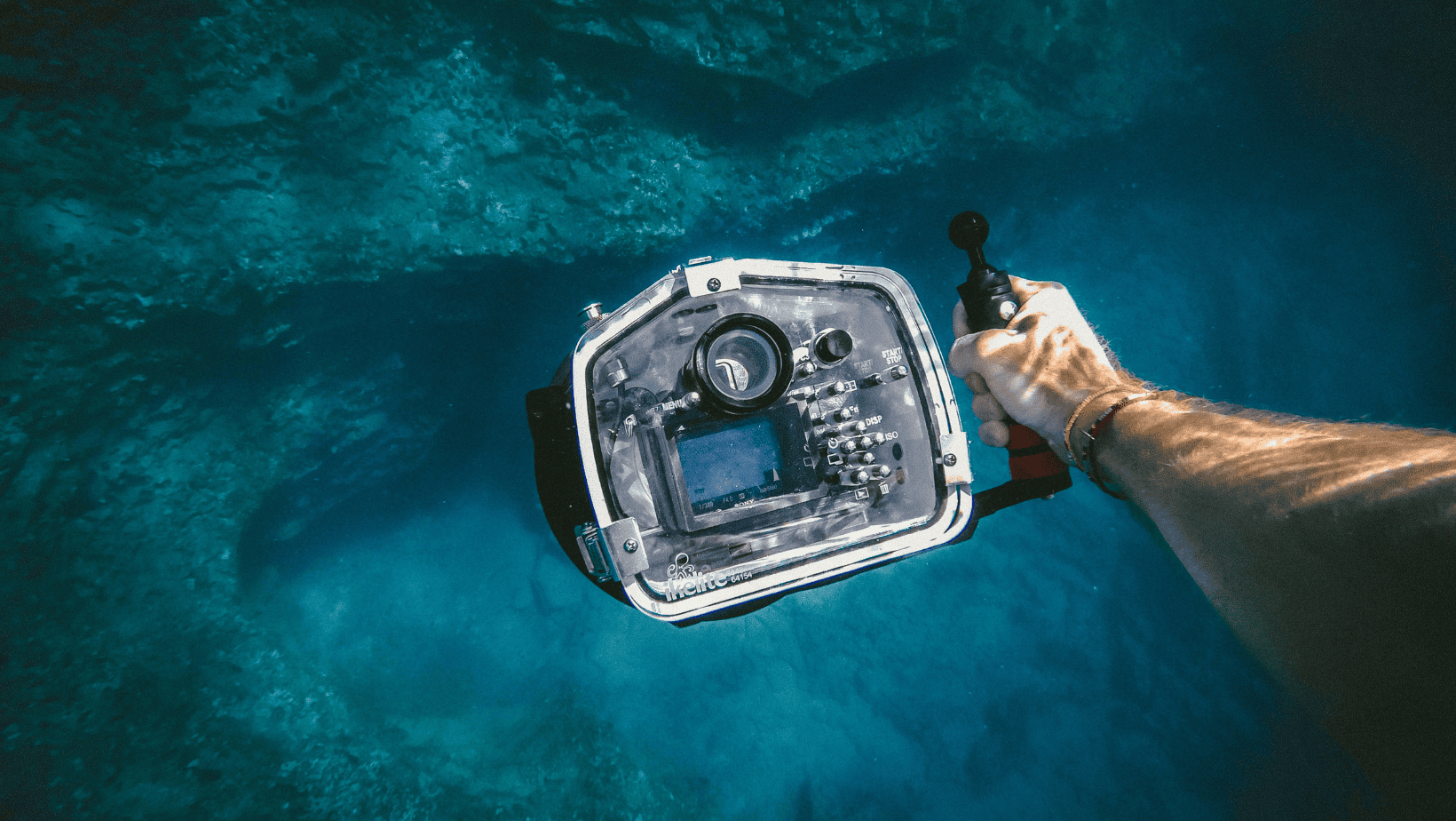 photo sous-marine