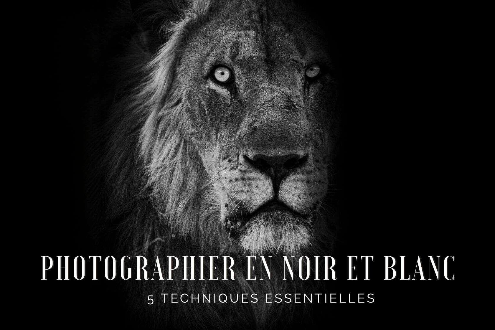 Reflex vs Hybride : Le guide ultime pour choisir en 2025