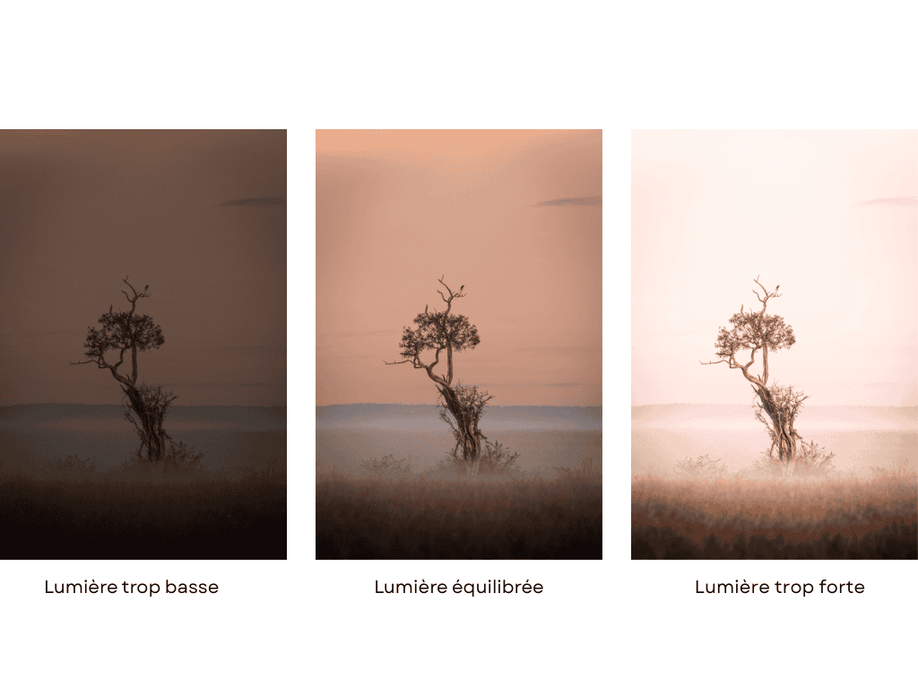 lumière photographie